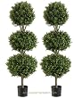 TWO 54" Triple Ball-shaped Boxwood Topiary in Plastic Pot Two Tone Green