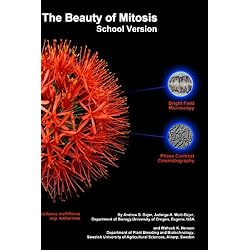 The Beauty of Mitosis: School Version