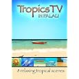 TropicsTV - PALAU: Relaxing Waves, Beaches & Sealife
