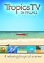 TropicsTV - PALAU: Relaxing Waves, Beaches & Sealife