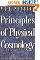 Principles of Physical Cosmology (Princeton Series in Physics)