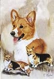 Welsh Corgis