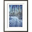 Sweden, Torso, Lake Vanern, Trail Collections Framed Photographic Poster Print by James Denk, 21x29