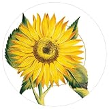 Entertaining with Caspari Set of 2 Sunflowers Salad Paper Plate Pack Candleages; 16 plates total