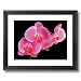 Pink Orchid Flowers Wall Decor Contemporary Picture Black Framed Art Print