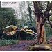 fabric 61: Visionquest
