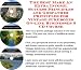 The Ultimate How To Earn Extra Money, Marketing and Success Principles for Vintage Ju...
