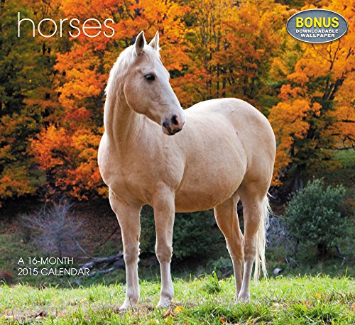 Horses Wall Calendar (2015)
