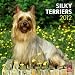 Silky Terriers 2012 Square 12X12 Wall Calendar