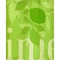 Designs Lime Canvas Giclee - 12x16"