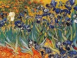 Vincent Van Gogh - Iris (8106) Poster Kunstdruck (80 x 60cm)