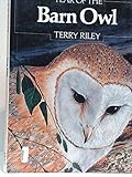 Year of the barn owl