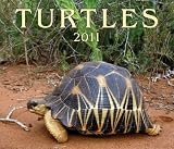 Turtles 2011 (Calendar)