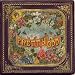 Pretty Odd [Vinyl]