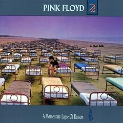 A Momentary Lapse Of Reason