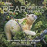 Bear: Spirit of the Wild