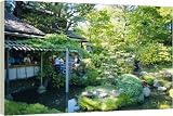 Box Canvas Print of The Japanese Tea Garden from Robert Harding
