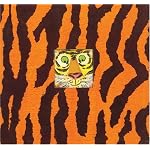 Tiger Wood book cover