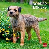 Border Terriers 2013 - Original BrownTrout-Kalender