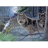 Royal Brush Paint by Number Kit, 15.375-Inch by 11.25-Inch, Mystical Moonlight