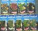 Realistic Plastic Plant 6" Aquarium Fish Tank 15cm