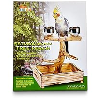 Penn-Plax Bird Tree Perch, 11-Inch

