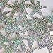 Starfish Sequin 1.5