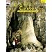 Carlsbad Caverns: The Story Behind the Scenery