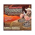 Velociraptor Fossil Excavation