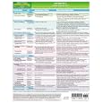 MemoCharts Pharmacology: Antibiotics (Review chart) by Howard Shen