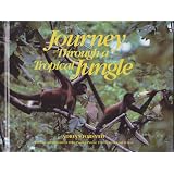 Journey Through a Tropical Jungle