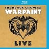 The Black Crowes: Warpaint Live [Blu-ray]