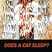 How Many Ways Does a Cat Sleep? Art & Sensitivity Series for Children Volume 1 How Many Ways Does a Cat Sleep? Art & Sensitivity Series for Children Volume 1