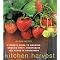 Succulent . . and Container . . Gardening ! 3 *