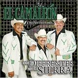 Los Diferentes de la Sierra - El Camaleón y Muchos Éxitos Más (Audio CD) - B000JJRWVM