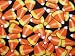 Moda Trick or Treat Candy Corn Halloween Fabric Yard