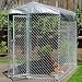 Lucky Dog 6-by-10-by-5 Foot CL61098 Easy Ship Chain-Link Box Kennel
