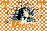 Tennessee Volunteers 4 x 6 Area Rug