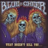 What Doesnt Kill You