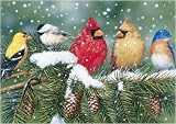  : Cardinals & Friends Jigsaw Puzzle 550pc