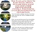 The Incredible How To Earn Extra Money, Marketing and Success Principles for Central Processing Units On-line Businesses 3 CD Pack