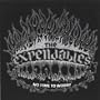 Irie Skankin