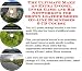Search : The Ultimate Make An Extra Income, Inner Game and Biz Networking for Brown Leather Shoes On-line Businesses 3 CD Course