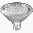 Lights of America 2002LEDP30-65K LED Bulb