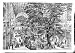 1851 Great Exhibition Transept Trees India Fine Art