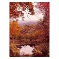 Gallery Wrapped The Cuyahoga Valley by Kurt Shaffer - (24 X 32")