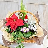 花由 冬のフラワーバスケット★森のクリスマス【5日以降で日時指定する】