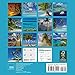 Islands Mini Wall Calendar 2017