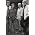 Vignette de The Nitty Gritty Dirt Band
