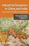 Industrial dynamics in China and India : firms, clusters, and different growth paths